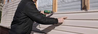 Best Historical Building Siding Restoration  in Willow, AK